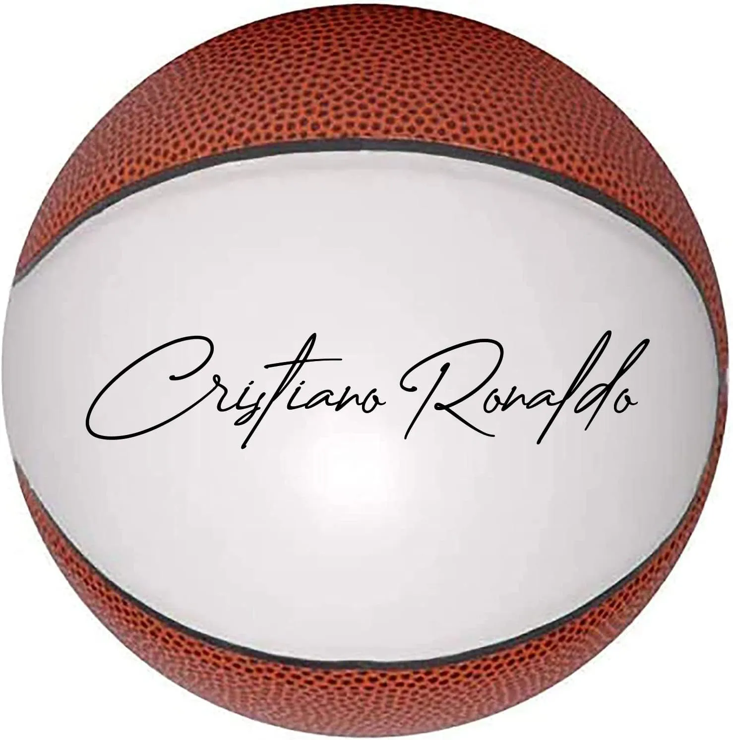 Autograph Blank Basketball with One Large White and 6 Brown Panels