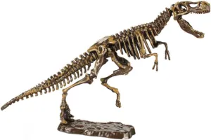 BESPORTBLE 1set Dinosaur Excavation Kit for Boys and Girls Archaeology Toy Dinosaur Skeleton for Educational Play Birthday Parties and Parent Interaction