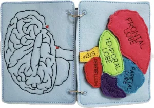 Felt Brain Quiet Book for Learning and Education, Light Blue Brain Maze and Puzzle, Ideal Gift for Teachers and Students, Suitable for Classroom Use, Birthdays, or Just Because Gifts