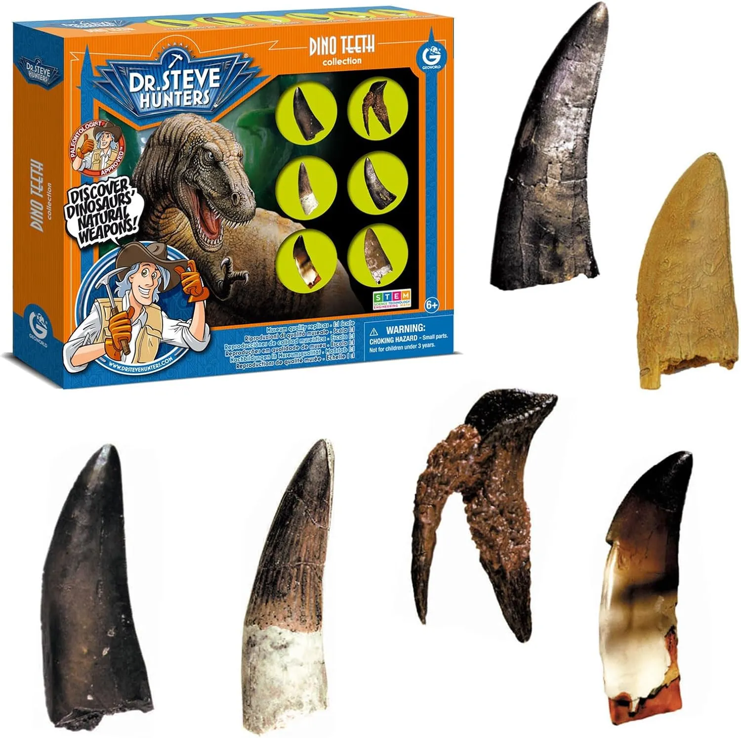 Geoworld Dinosaur Teeth Replica Set - Life-Sized 1:1 Scale of 6 Different Dino Teeth - Interactive STEM Learning Toy for Kids Ages 6 