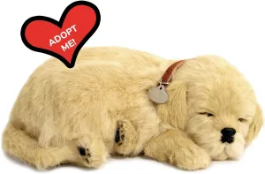 Perfect Petzzz - Original Petzzz Golden Retriever, Realistic, Lifelike Stuffed Interactive Pet Toy, Companion Pet with 100% Handcrafted Synthetic Fur