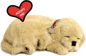 Perfect Petzzz - Original Petzzz Golden Retriever, Realistic, Lifelike Stuffed Interactive Pet Toy, Companion Pet with 100% Handcrafted Synthetic Fur
