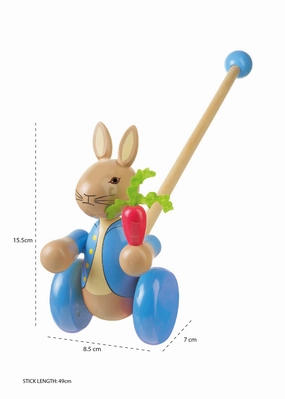 Peter Rabbitª Boxed Push Along (FSC¨)