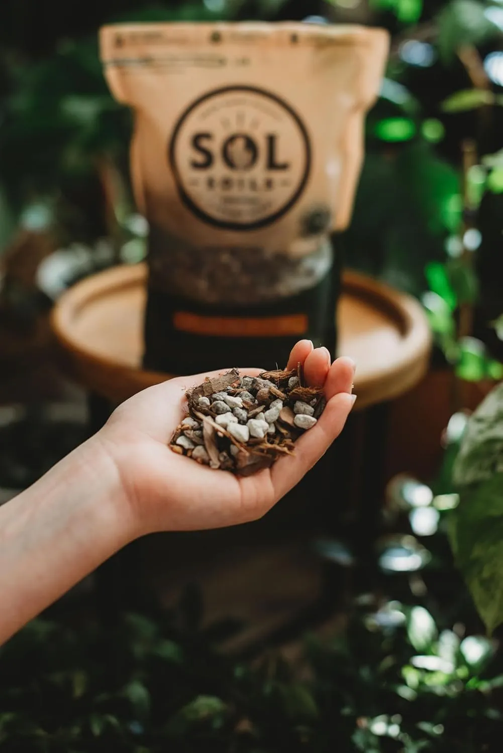 Sol Soils Gritty Cactus Soil Potting Mix - Fast Draining and Peat Moss Free with Coconut Husk Chips, Granite, Calcined Clay & Pumice for Indoor and Outdoor Plants - 1 Gallon