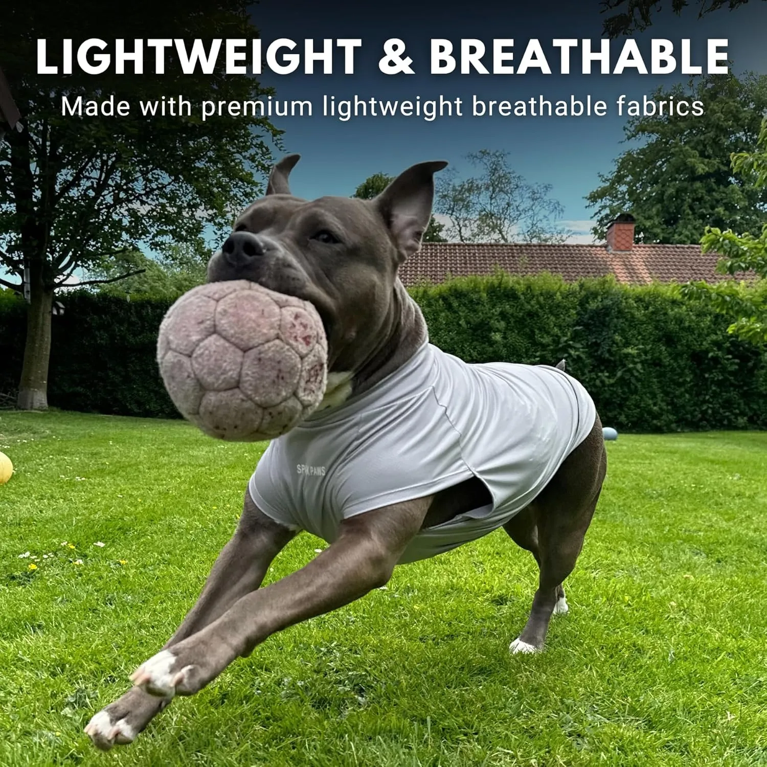 Spark Paws Dog T-Shirt, Quick Dry Soft Stretchy, Lightweight Breathable for Dogs with Sensitive Skin - Blue & Grey (Set of 2) - 2XL