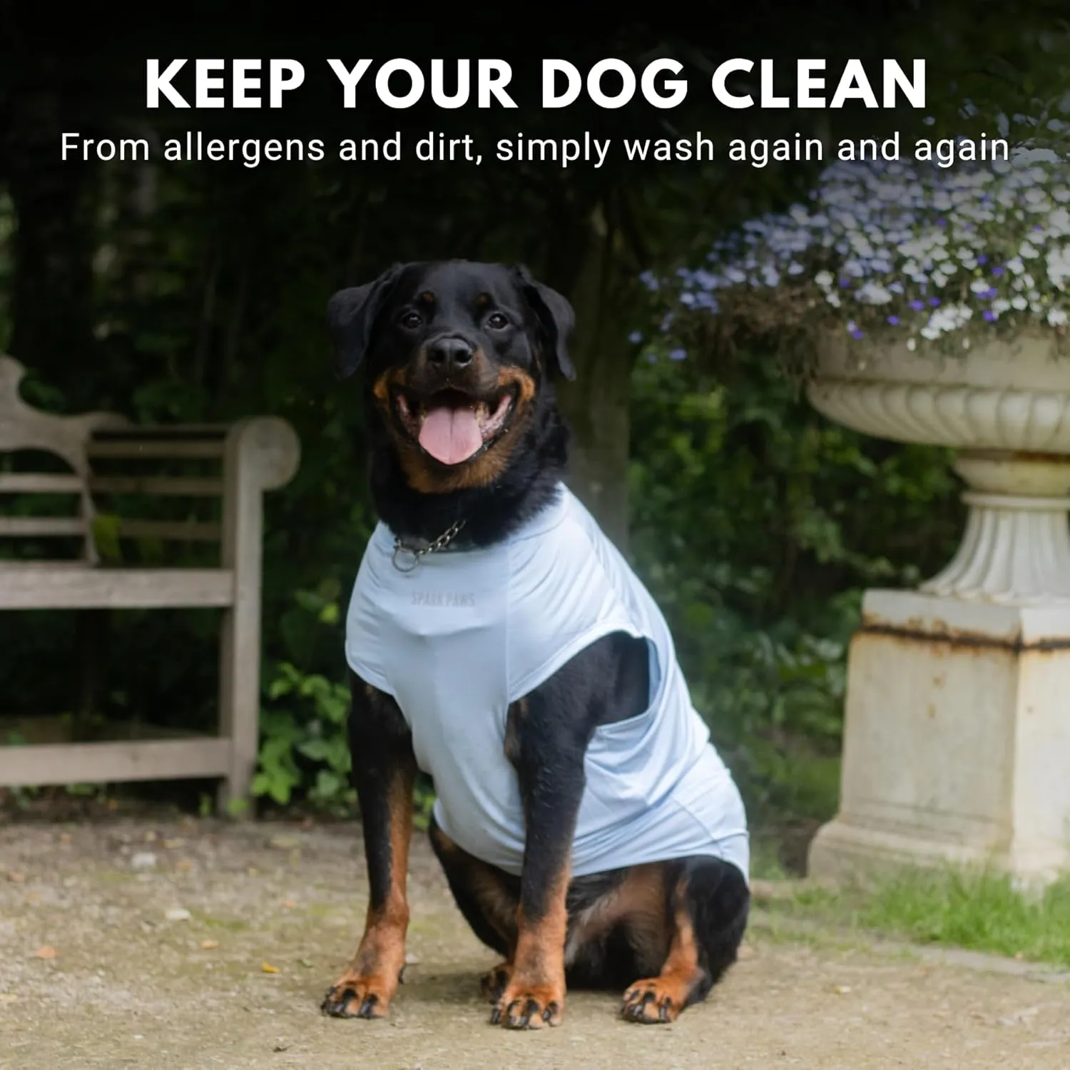 Spark Paws Dog T-Shirt, Quick Dry Soft Stretchy, Lightweight Breathable for Dogs with Sensitive Skin - Blue & Grey (Set of 2) - 2XL