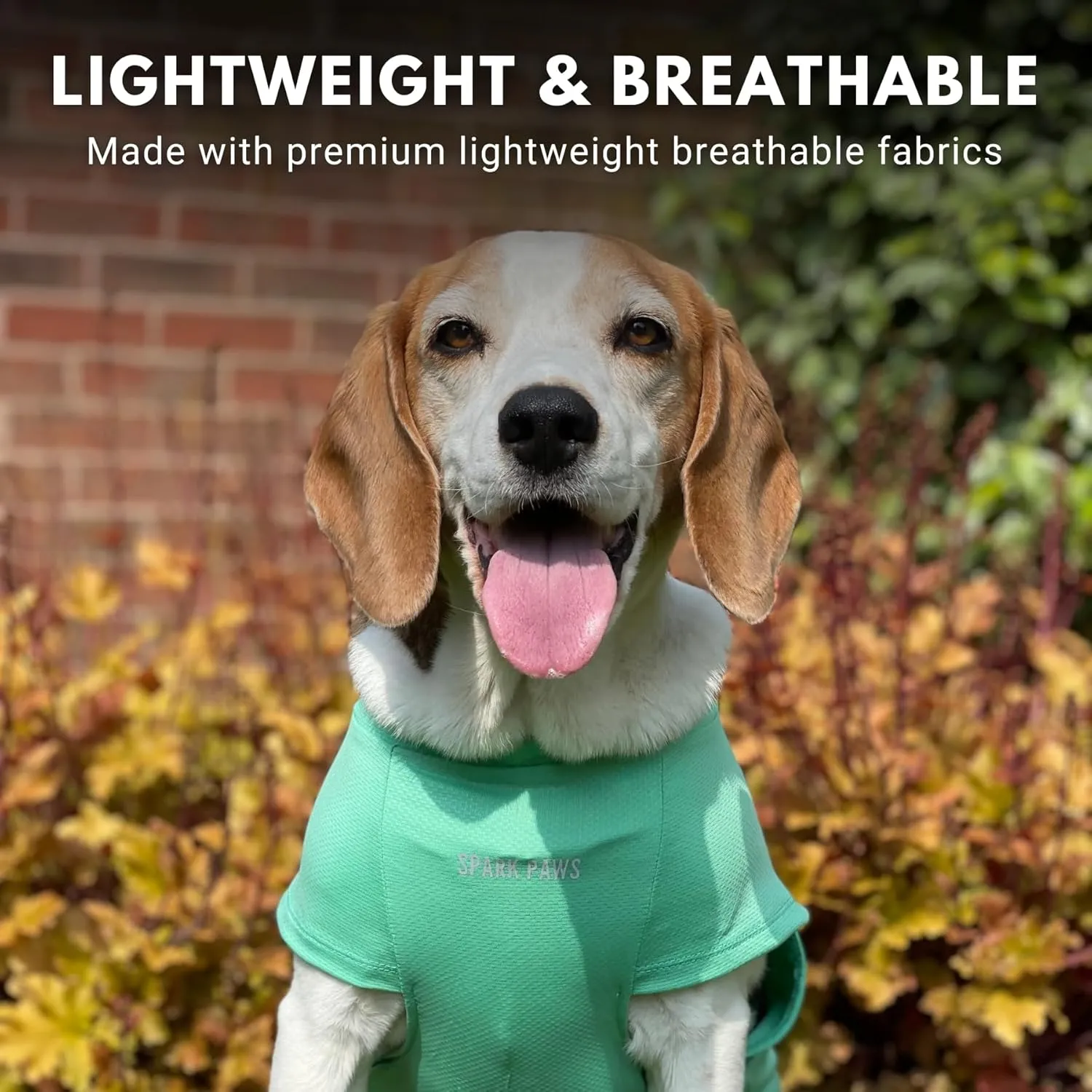 Spark Paws Dog T-Shirt, Quick Dry Soft Stretchy, Lightweight Breathable for Dogs with Sensitive Skin - Blue & Mint (Set of 2) - 3XL