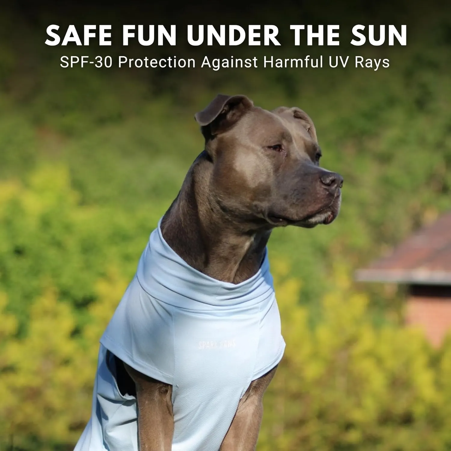 Spark Paws Dog T-Shirt, Quick Dry Soft Stretchy, Lightweight Breathable for Dogs with Sensitive Skin - Blue & Mint (Set of 2) - 3XL