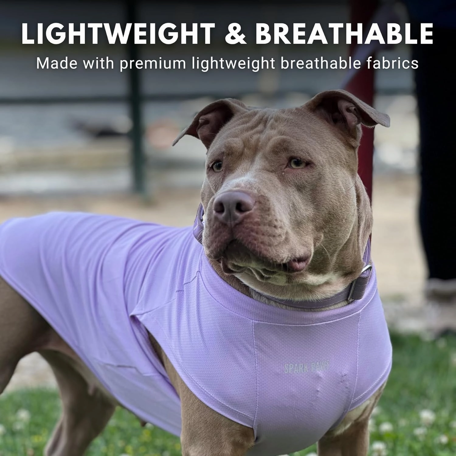 Spark Paws Dog T-Shirt, Quick Dry Soft Stretchy, Lightweight Breathable for Dogs with Sensitive Skin - Purple & Pink (Set of 2) - 2XL