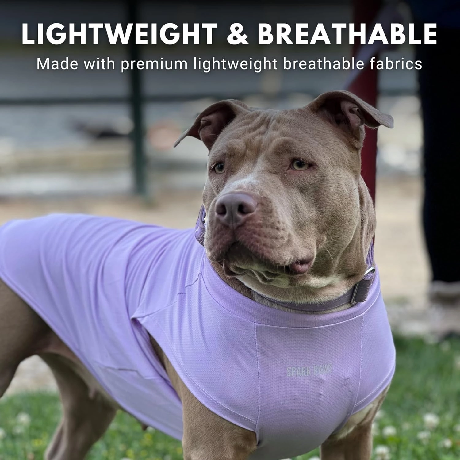 Spark Paws Dog T-Shirt, Quick Dry Soft Stretchy, Lightweight Breathable for Dogs with Sensitive Skin - Purple & Pink (Set of 2) - 3XL
