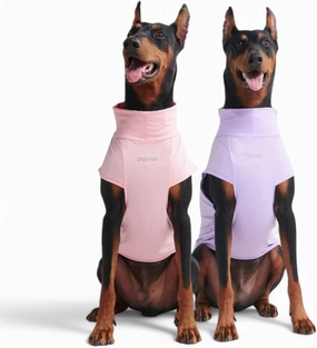 Spark Paws Dog T-Shirt, Quick Dry Soft Stretchy, Lightweight Breathable for Dogs with Sensitive Skin - Purple & Pink (Set of 2) - 3XL