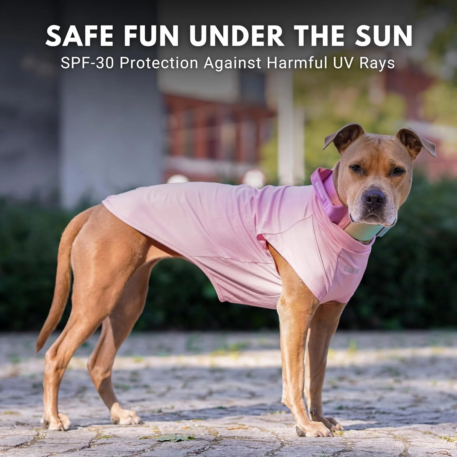 Spark Paws Dog T-Shirt, Quick Dry Soft Stretchy, Lightweight Breathable for Dogs with Sensitive Skin - Purple & Pink (Set of 2) - 3XL