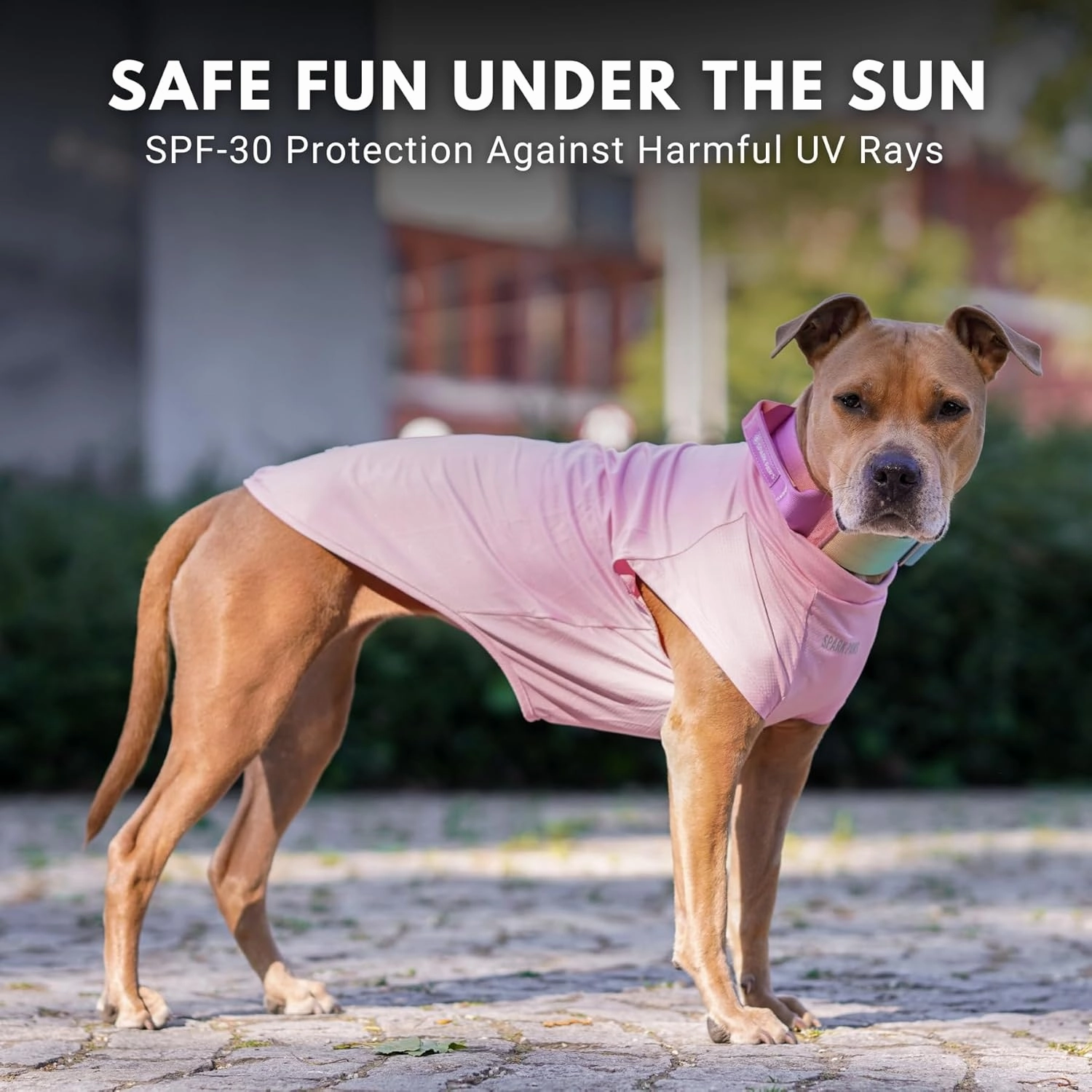 Spark Paws Dog T-Shirt, Quick Dry Soft Stretchy, Lightweight Breathable for Dogs with Sensitive Skin - Purple & Pink (Set of 2) - M