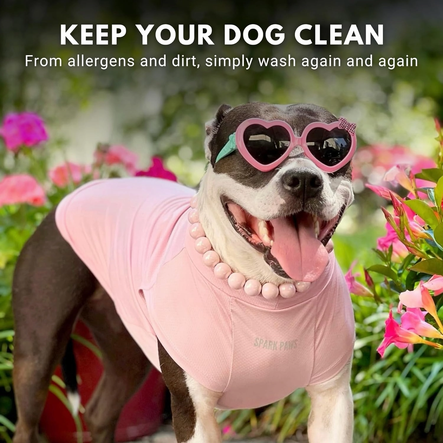 Spark Paws Dog T-Shirt, Quick Dry Soft Stretchy, Lightweight Breathable for Dogs with Sensitive Skin - Purple & Pink (Set of 2) - M