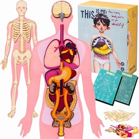 This is ME! Anatomy for Kids Human Anatomy Model Body Parts for Kids Detachable Human Body Toy Body Parts Puzzle partes del Cuerpo humano Montessori esqueleto humano anatomia Anatomy Models