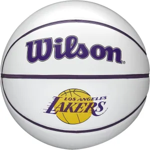 WILSON NBA Team Autograph Mini Basketballs - Size 3-22"