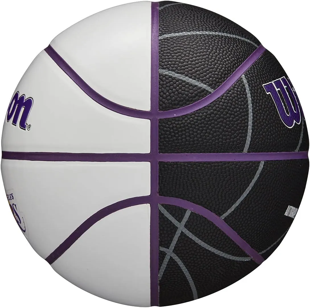 WILSON NBA Team Autograph Mini Basketballs - Size 3-22"