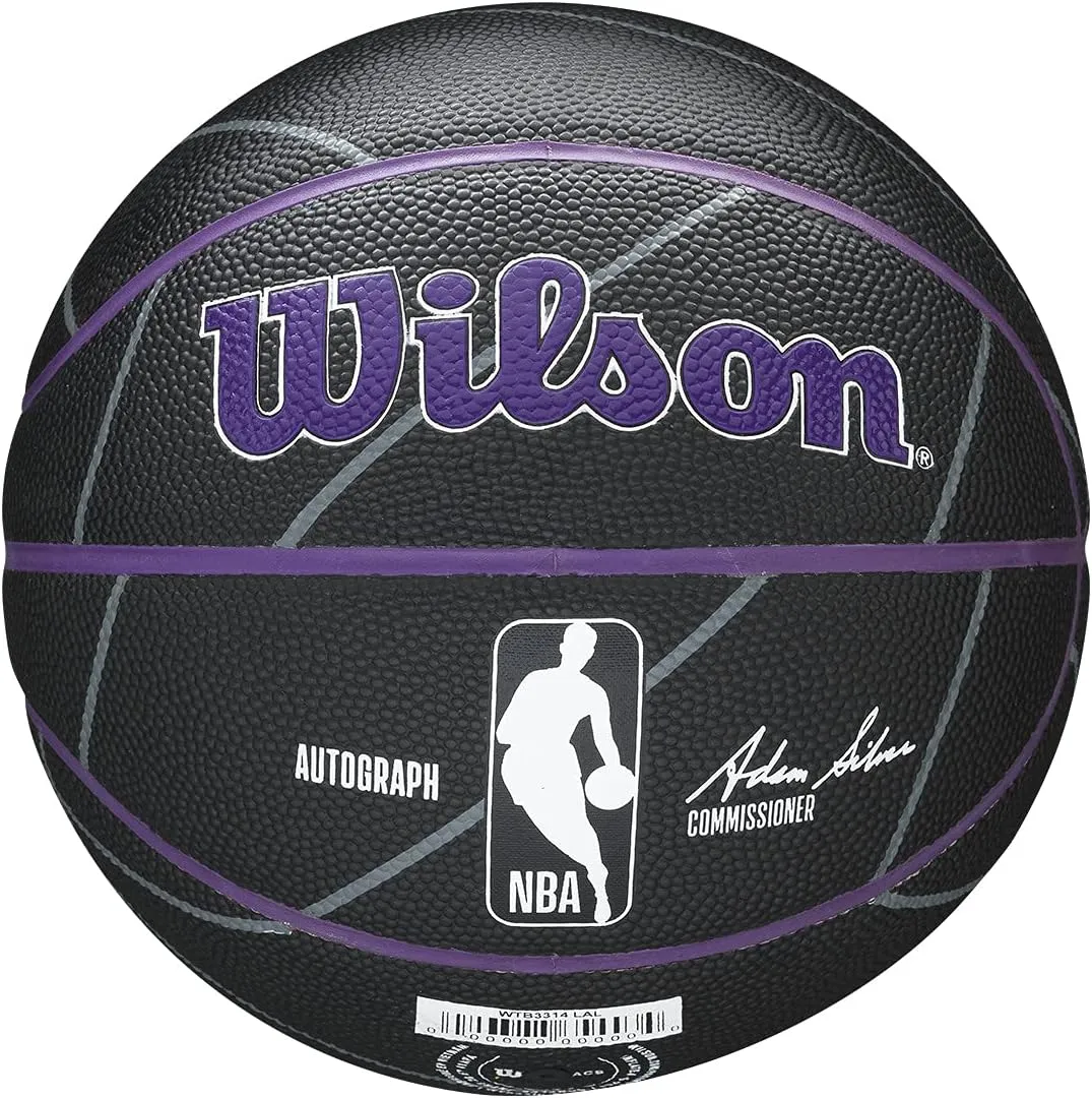 WILSON NBA Team Autograph Mini Basketballs - Size 3-22"